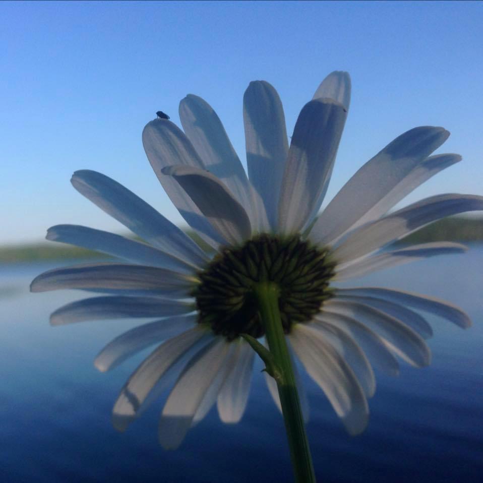 A Young Girl’s&nbsp;Sorrow