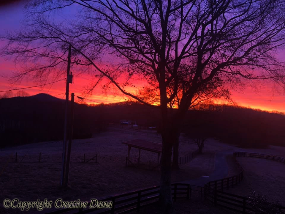 early in the morning