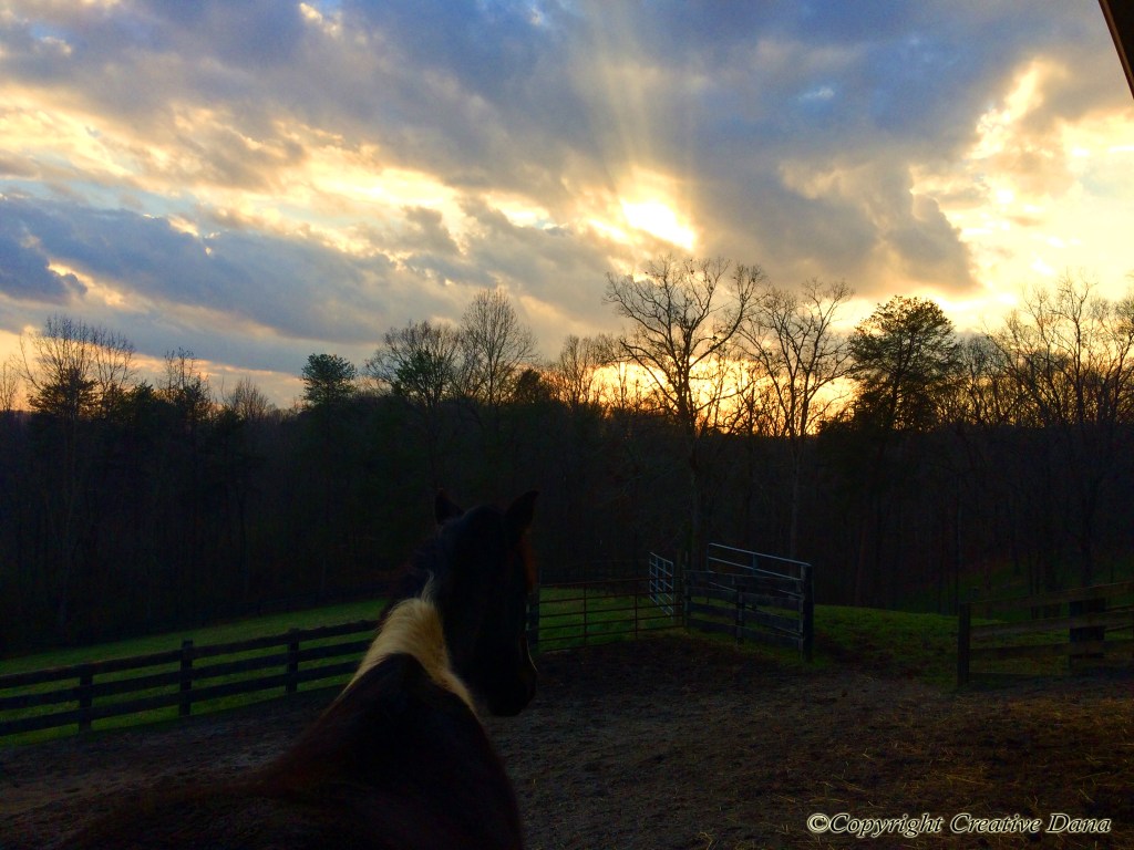 Hear the Wind in the Treetops on&nbsp;JD
