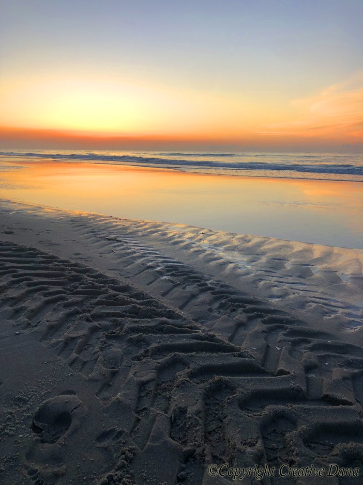 tracks in the sand