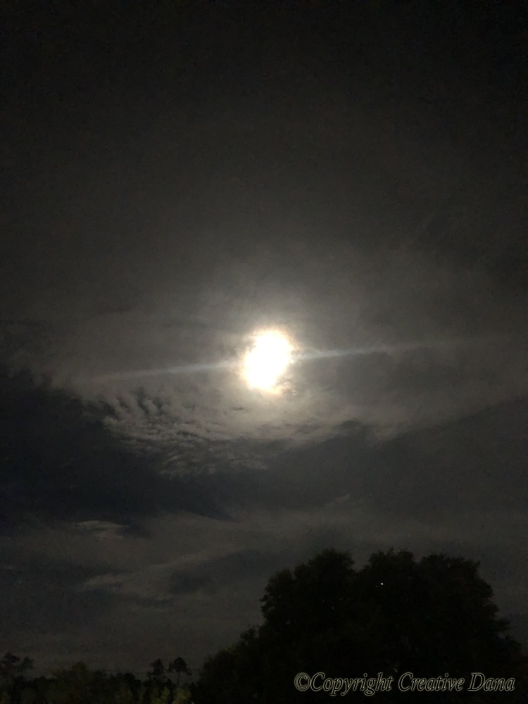 moon in clouds