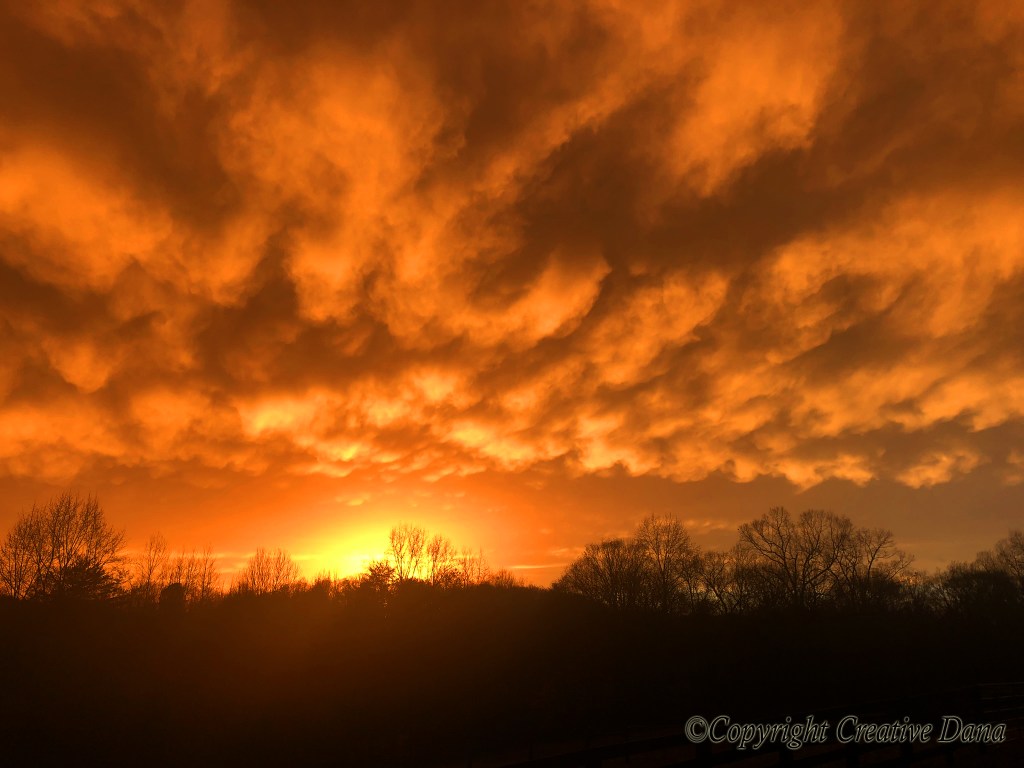 All the Other&nbsp;Guys