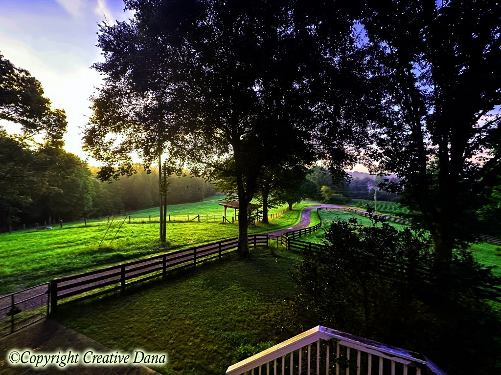 Hear a Morning&nbsp;Hawk