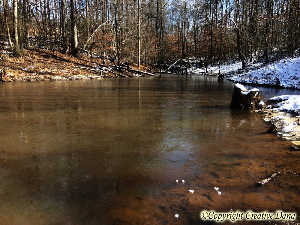 snow, pond