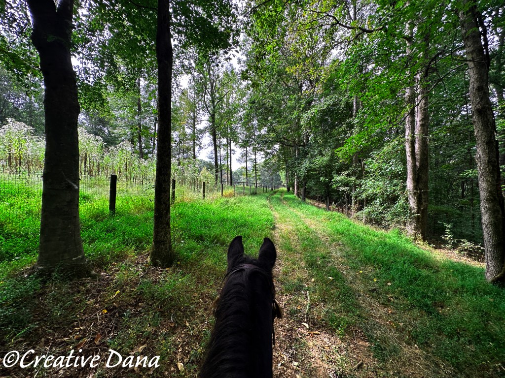 Ride the Fence Line with&nbsp;JD