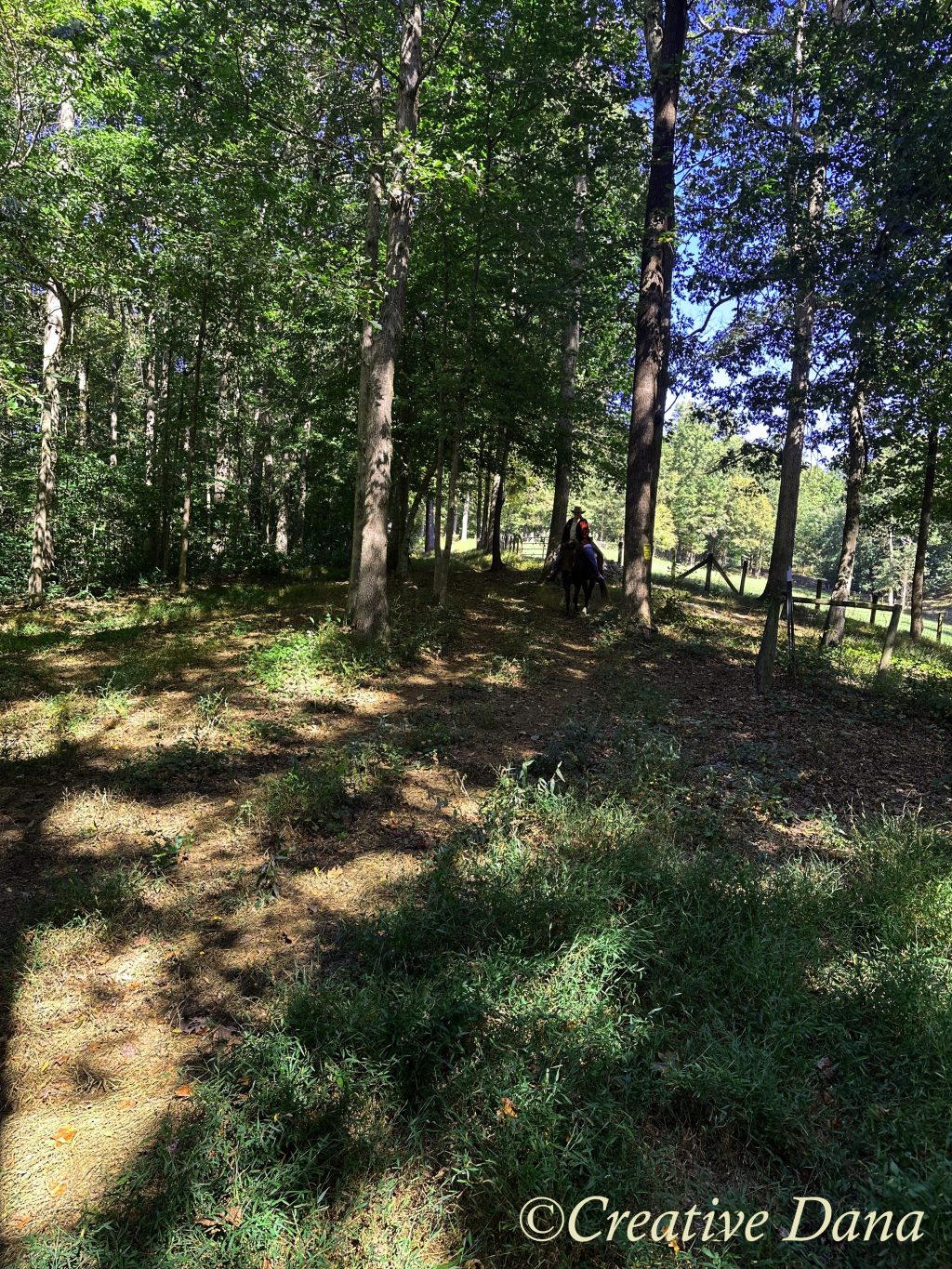 Autumn ride with&nbsp;JD