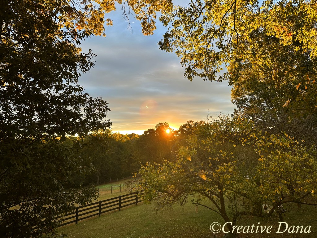 It’s been so&nbsp;Long