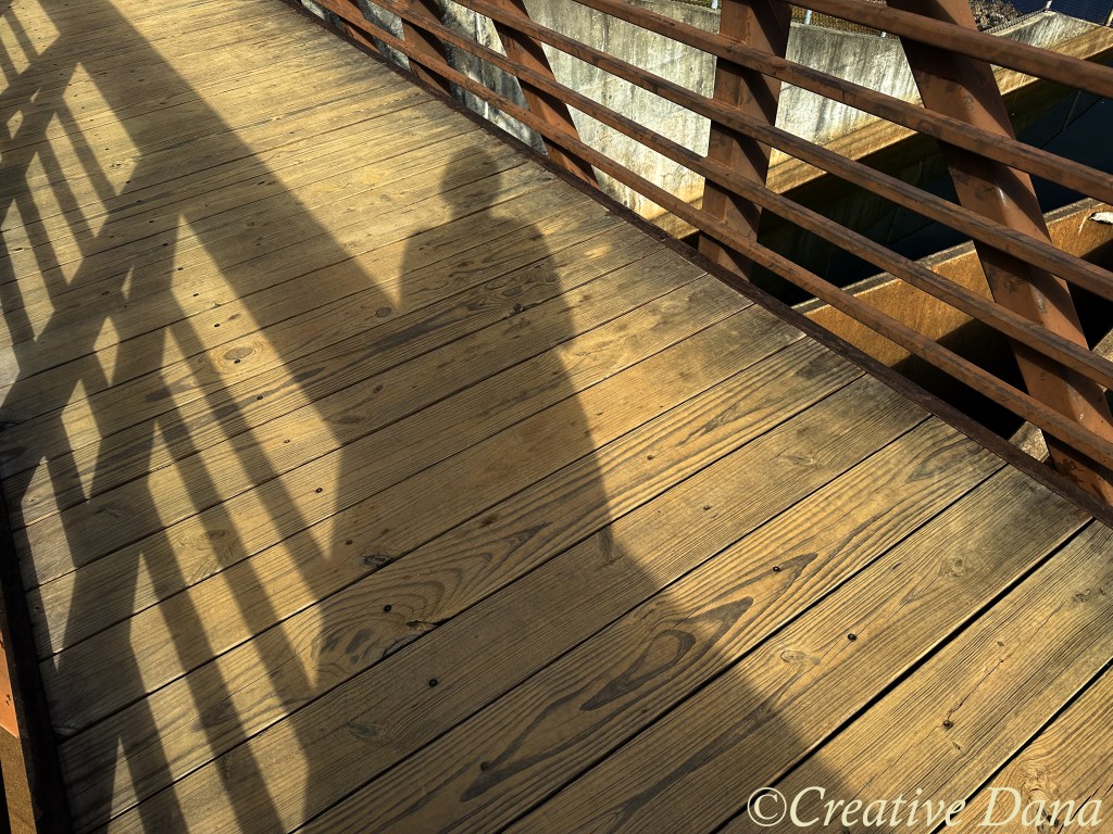 All the Things I Should&nbsp;Say