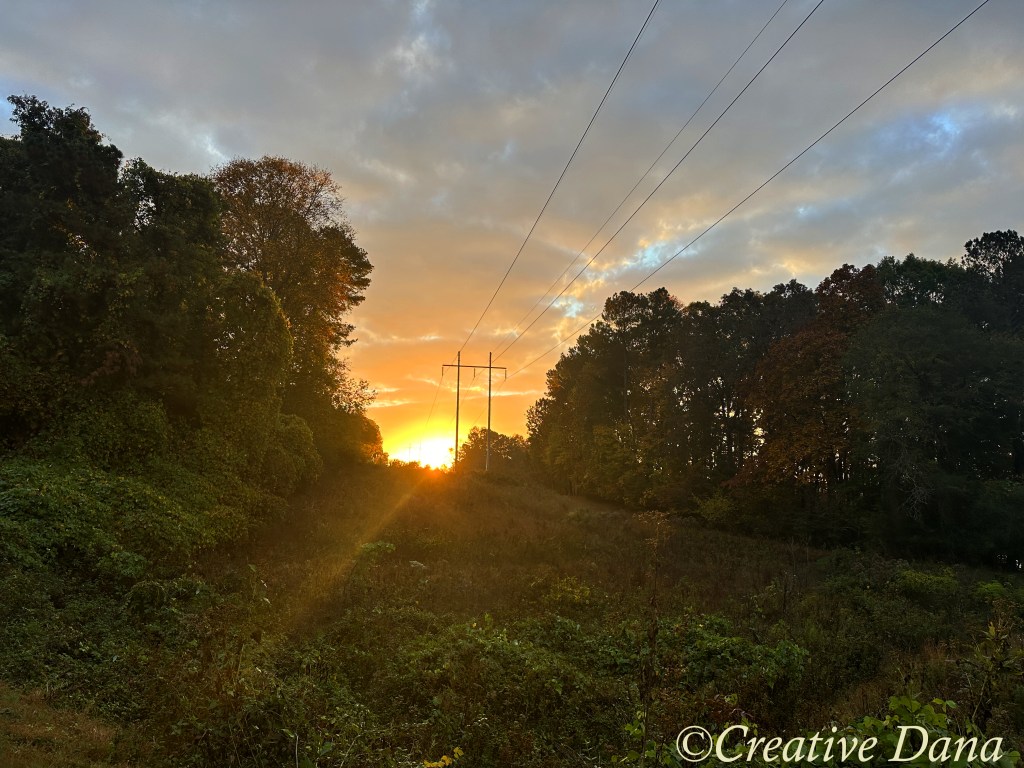 Safety, Smile and&nbsp;Charm