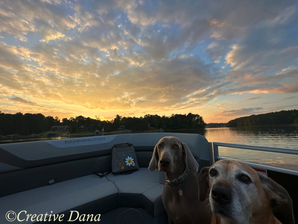 The Sunset, Moon, Sadie & Zoey on a Boat&nbsp;Ride