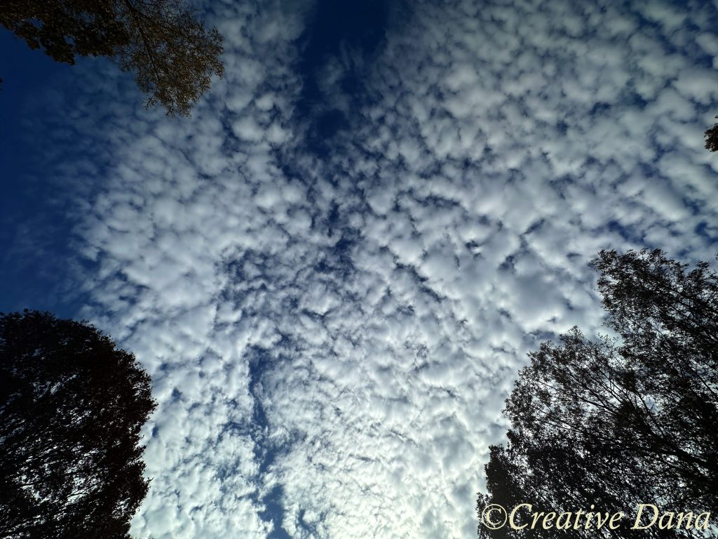 As seen from my&nbsp;Driveway