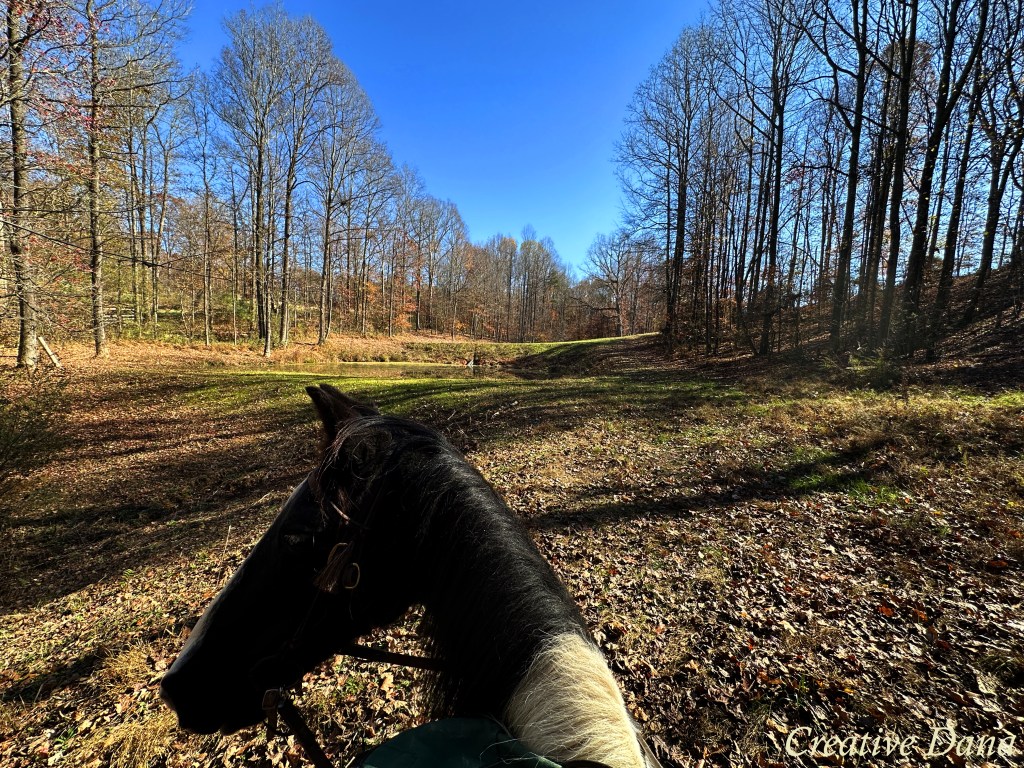 Ride JD with&nbsp;Me