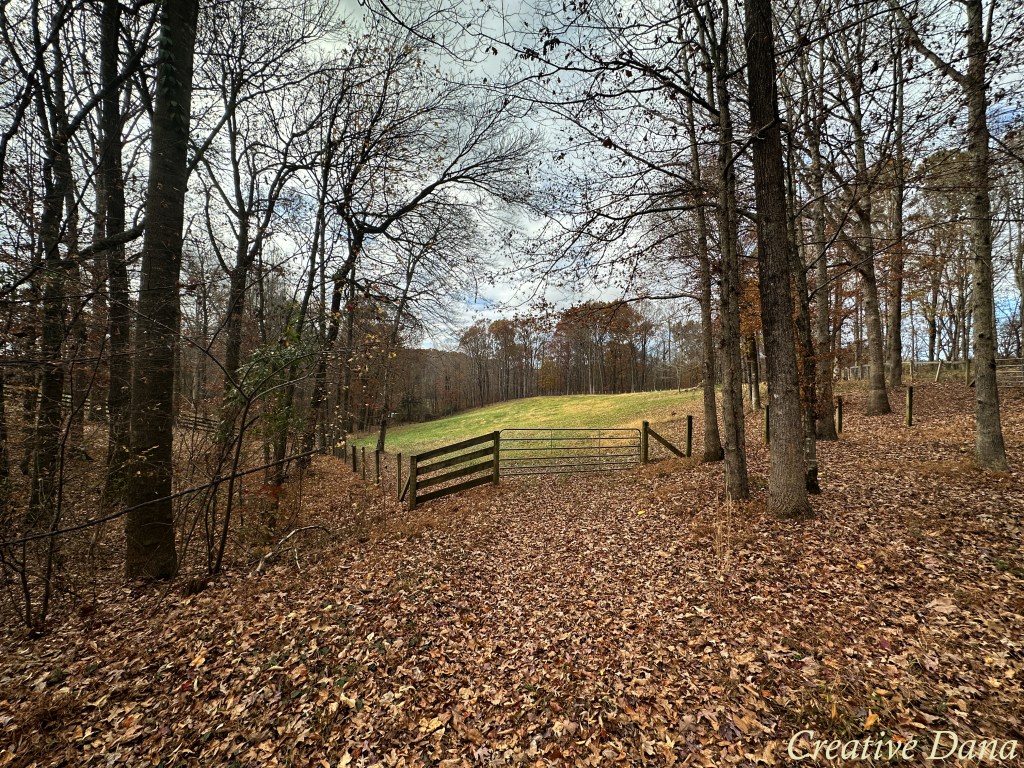 A life I do&nbsp;Treasure