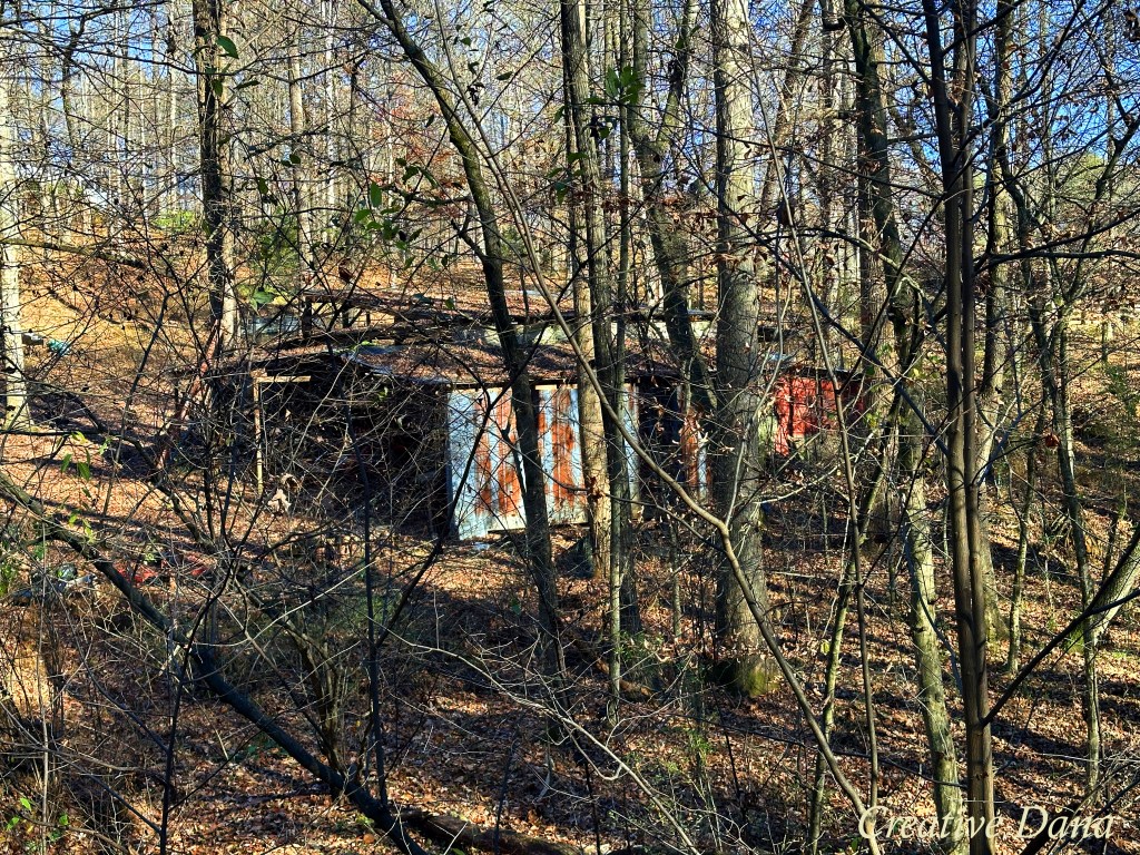 A Cold Winter&nbsp;Day