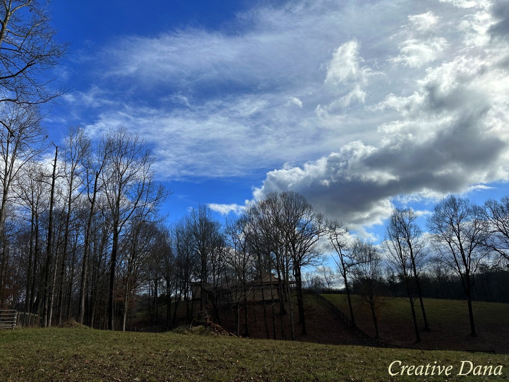 A Joyful Spring&nbsp;Vision