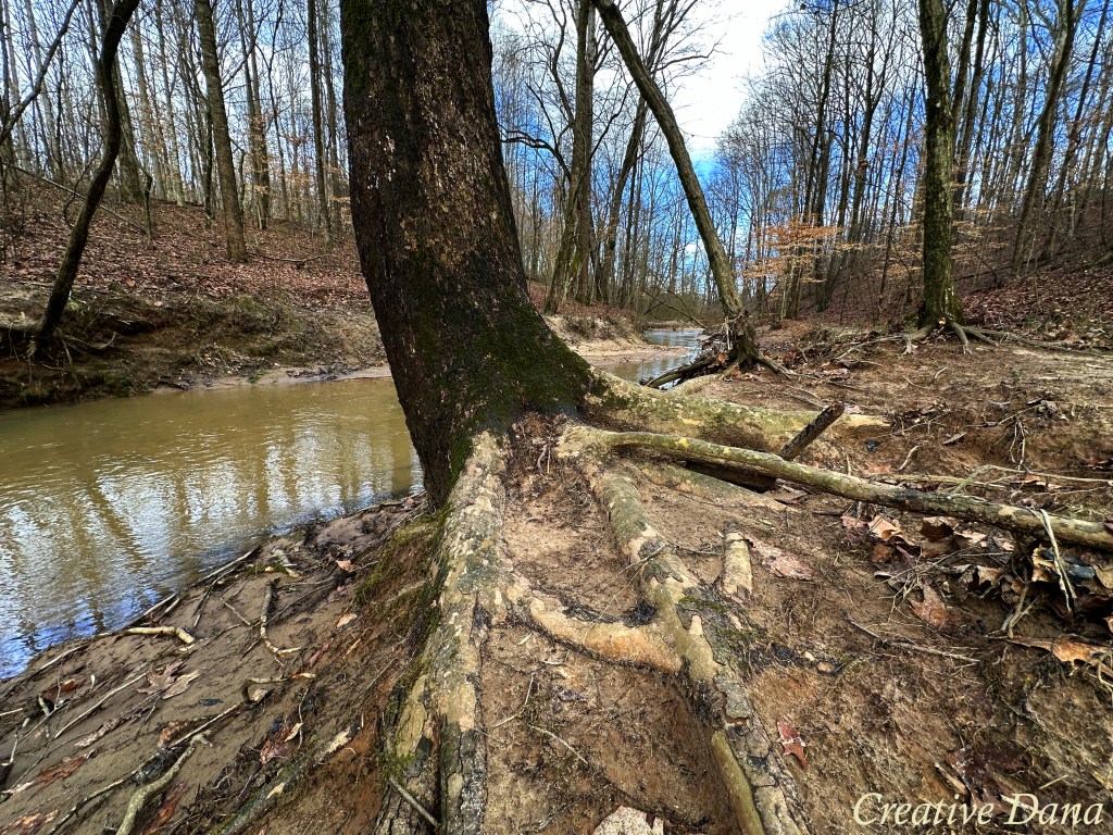 Winter Walk at the&nbsp;Creek