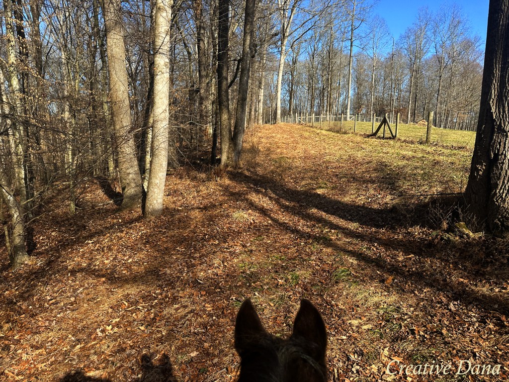 Warm Winter Day on&nbsp;JD