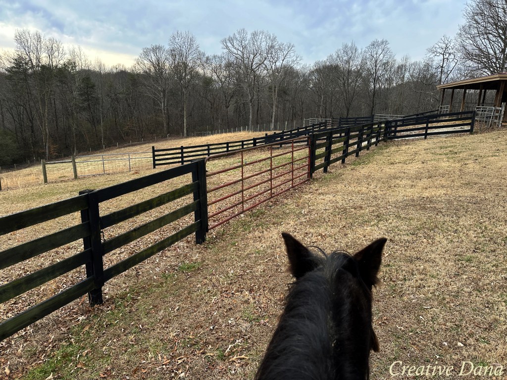 Winter Ride with&nbsp;JD