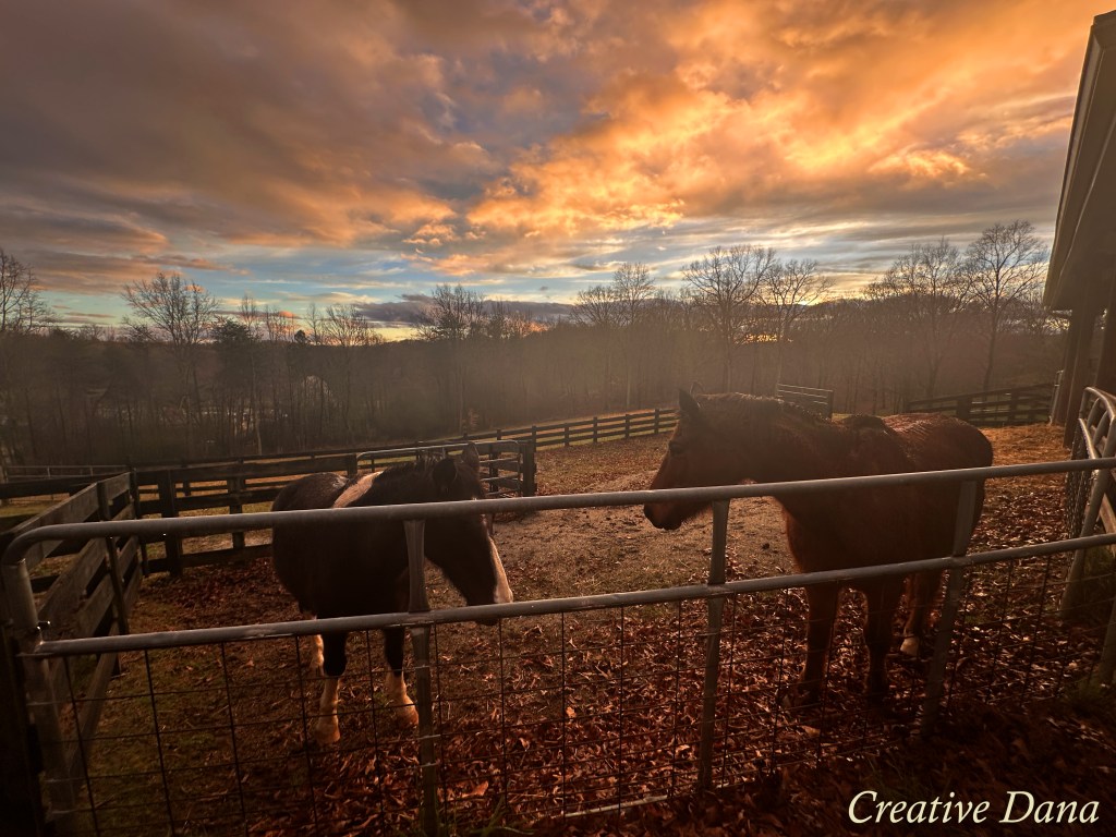 The Boys at&nbsp;Sunset
