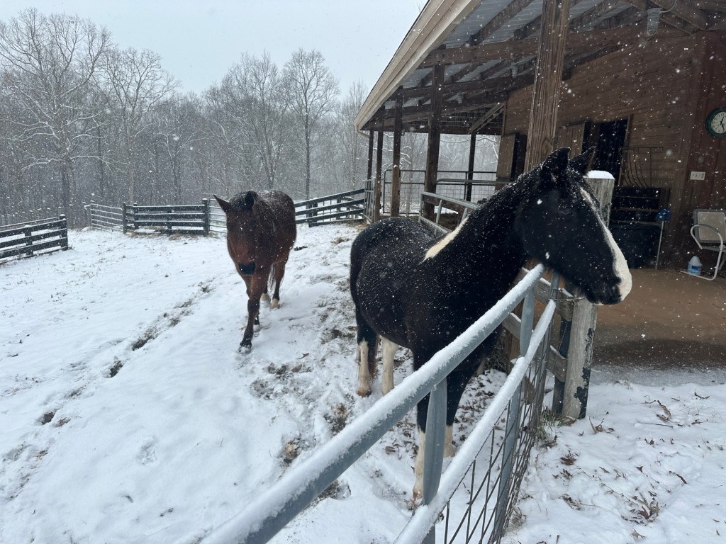 North Georgia Snow&nbsp;‘25